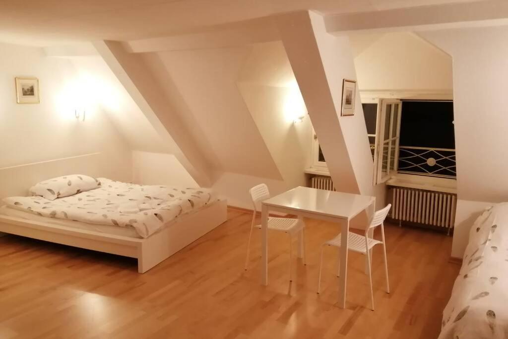 Studio F Am Barfusserplatz Central Old Town Apartment Basel Exterior foto